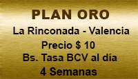 Plan Oro  -  $ 10
